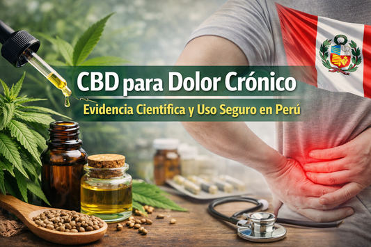 CBD para Dolor Crónico: Evidencia Científica y Uso Seguro en Perú